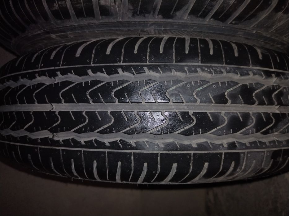 Баллон дамасники родной