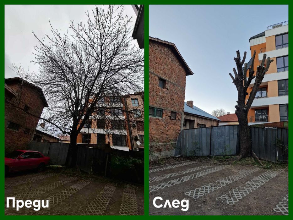 Рязане и кастрене на опасни дървета с автовишка