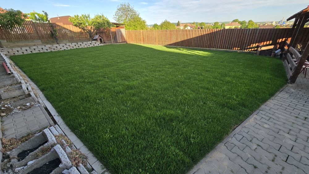 Amenajări, intretinere curți, gradini, spatii verzi, arat, frezat sol.