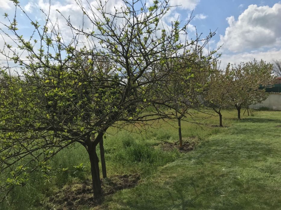 Продава се Къща в с. Крумово, Област Варна - 55 кв.м за 819 €/кв.м - Снимка #1