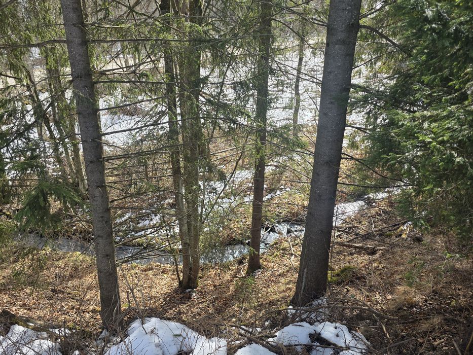 Teren intravilan 1,5 ha (15.000 mp) langa Parcul Calimani. 8,5€/mp