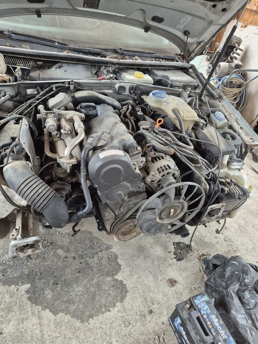 Dazmmembrez Passat 2005 motor2000bkc