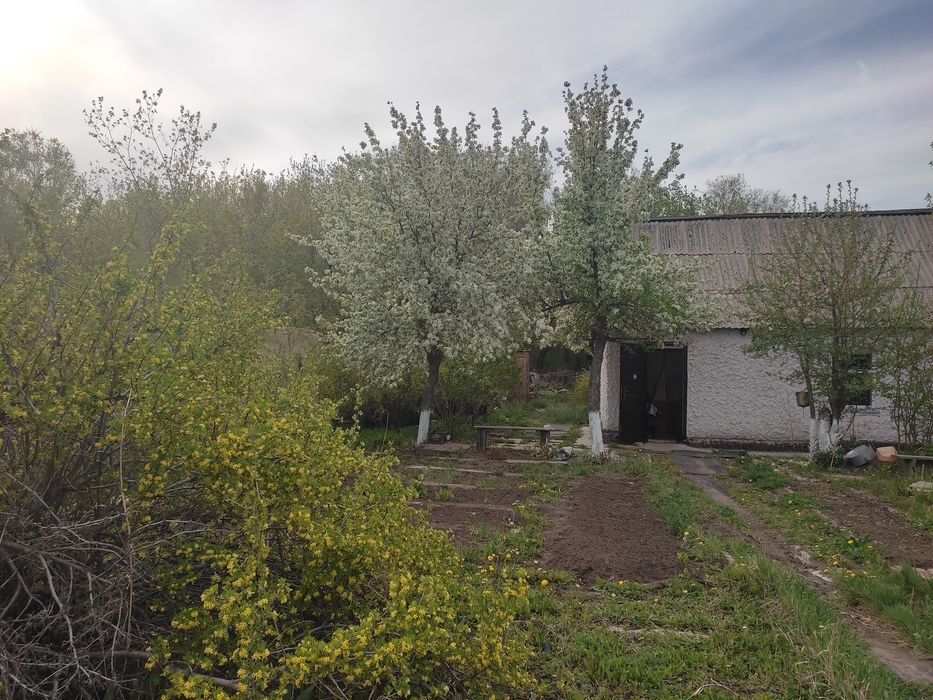 Продаю дачу в Михайловке, 12 соток