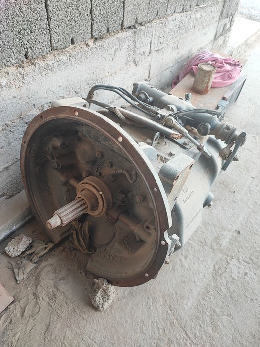 Чакман каробка бор