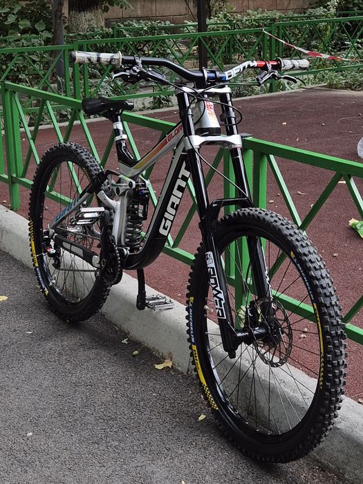 Giant  glory  carbon