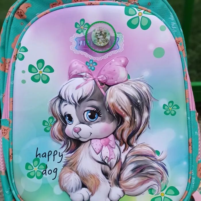 Ортопедический рюкзак с пеналом и светящийся эмблемой