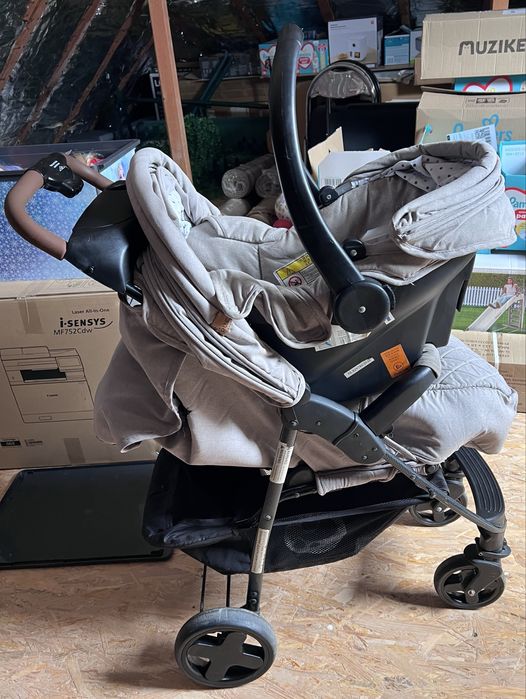 Cărucior Lorelli Daisy 2 în 1