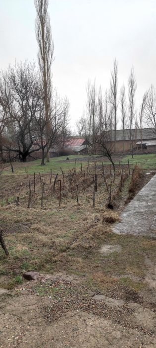 Oqtosh hondoyliqda dacha qurish uchun yer sotiladi