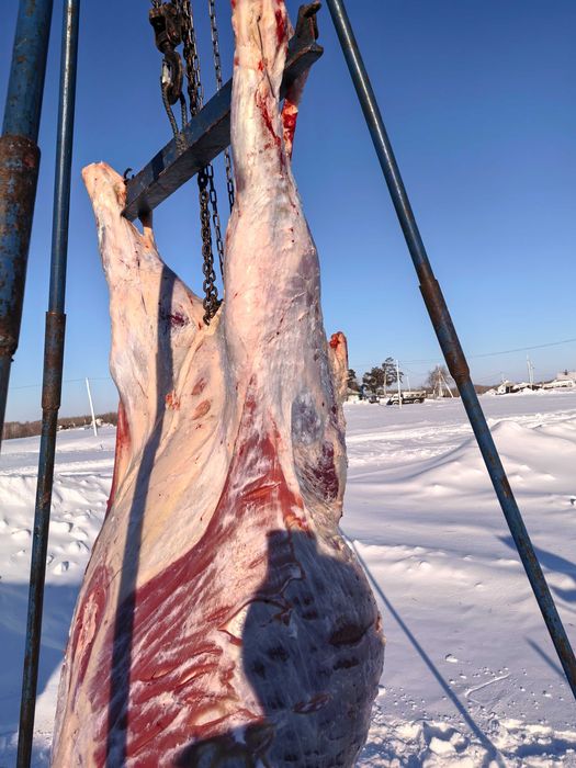 Баранина на заказ