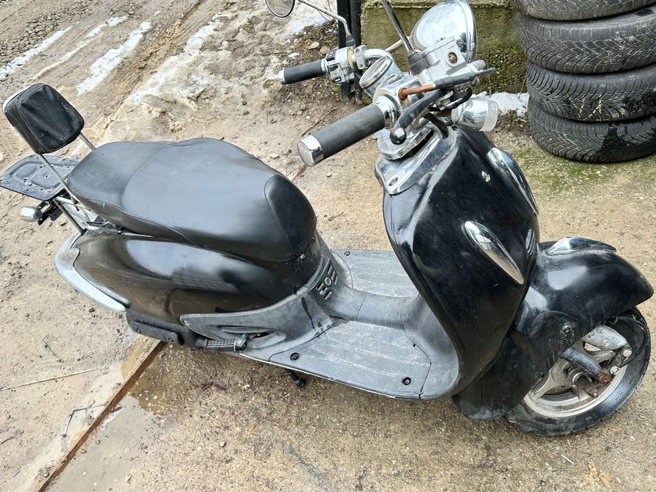 Scuter Retro 50 cm/4 T 2450 LEI