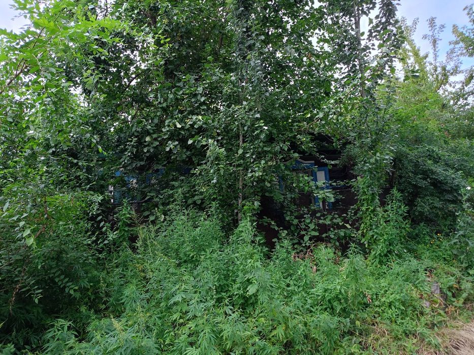 Недвижимость в городе Семей