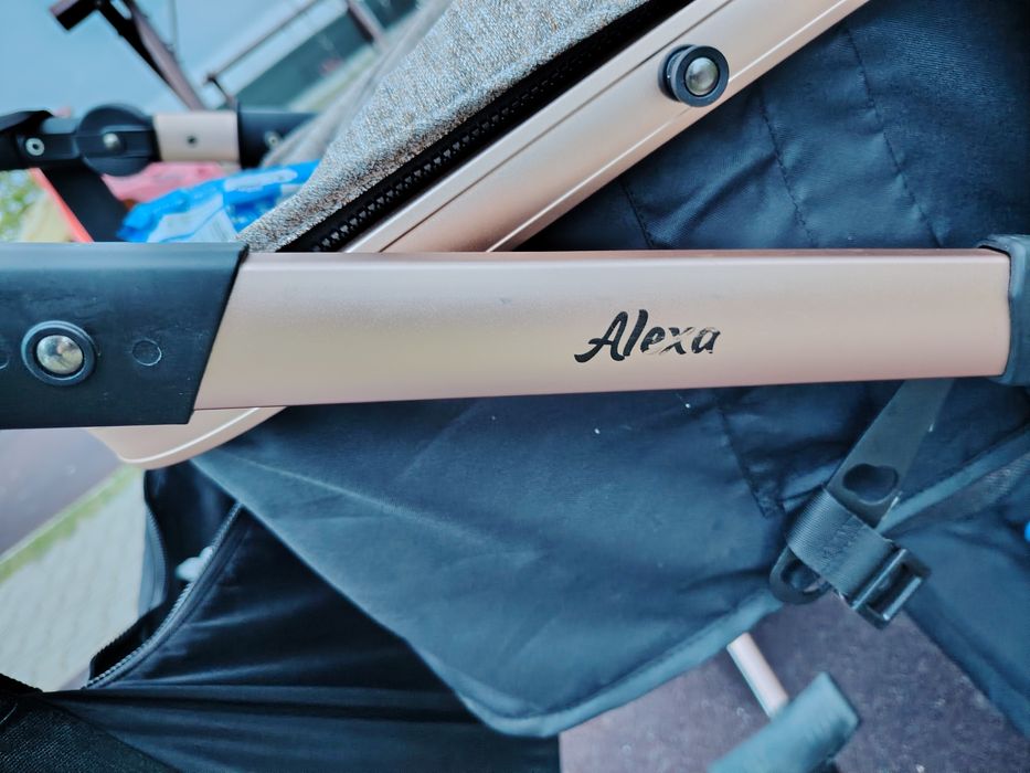 Carut 2 in 1 Lorelli Alexa