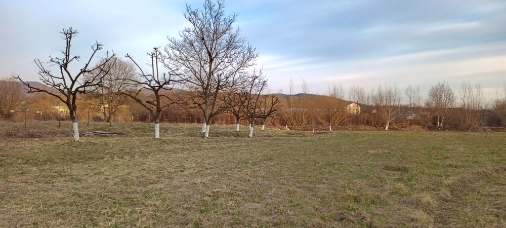 Teren Intabulat Intravilan cu Nr de Casa ,drum Privat 4600 mp