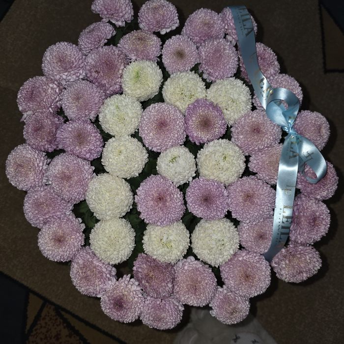 Хризантемы Момоко с буквой Ш или Е