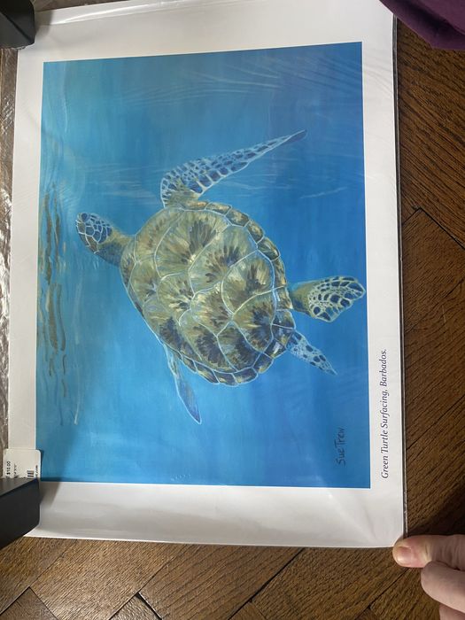 Картини/фотопринт от остров Барбадос