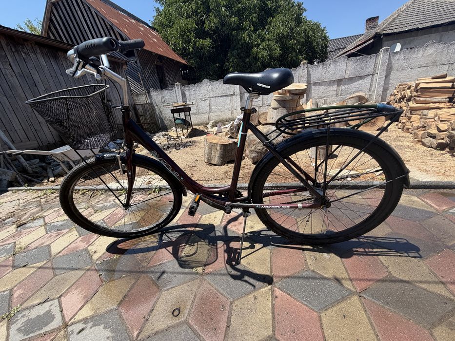 Vand bicicleta AVENUE