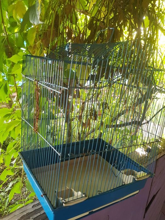 Продам клетку для попугайчиков
