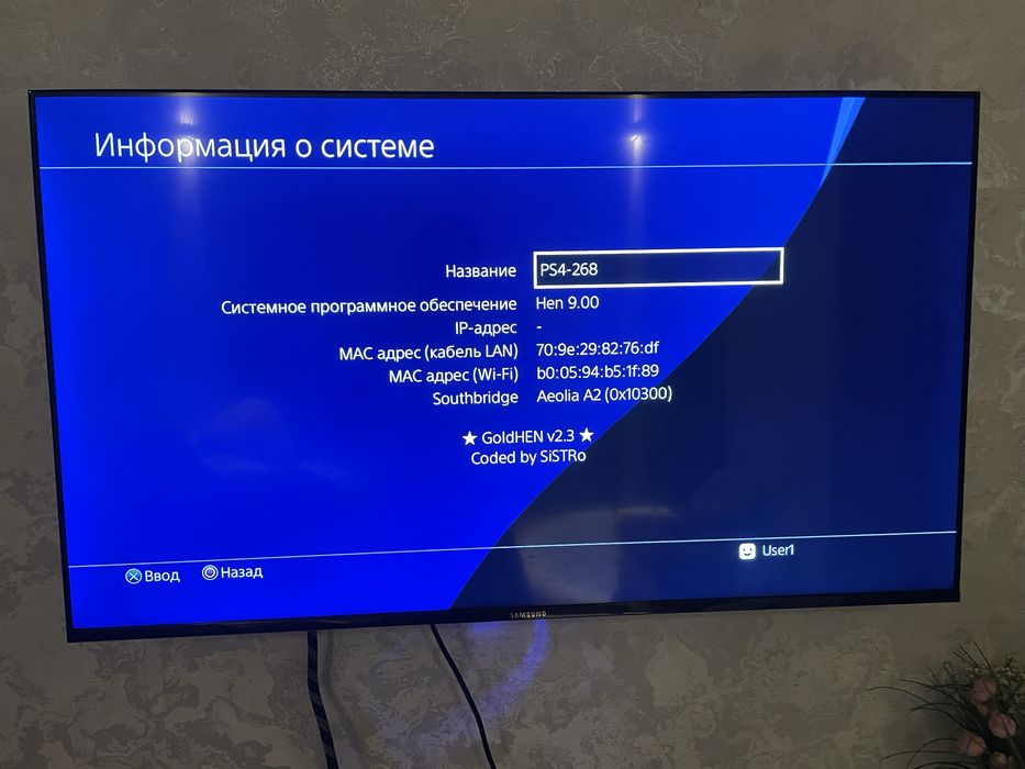 Sony Playstation 4 9.00 goldhen