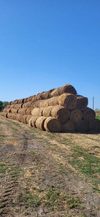 Baloți rotunzi lucernă bio in amestec