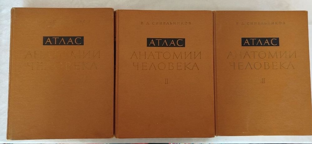 Атлас анатомии человека.  С. Д. Синельников.