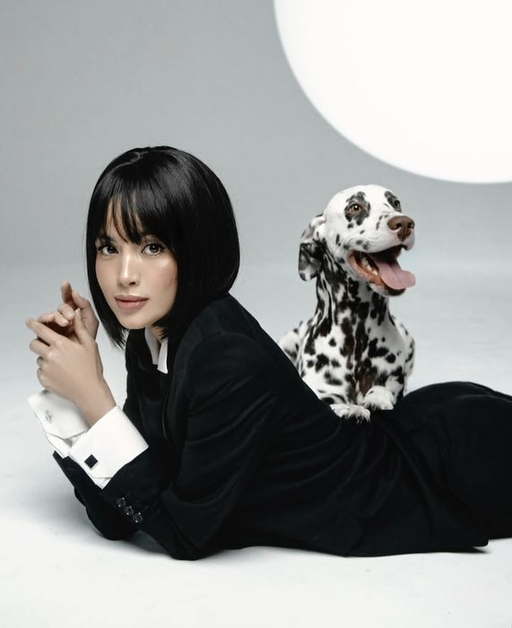 Далматин на фотоссесию