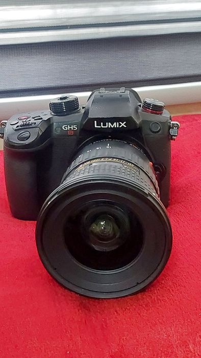 Panasonic lumix gh5s