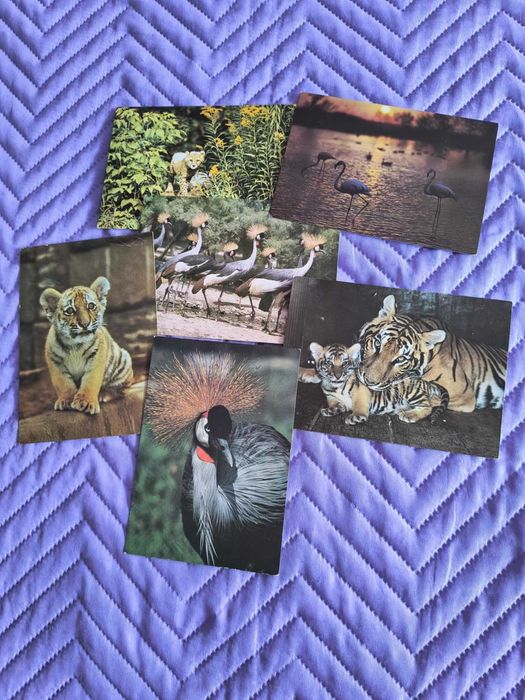 Красиви детски картички