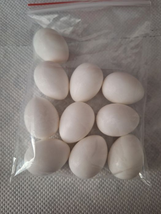 Inele Porumbei..clipsuri..Suporti Inele..Oua de plastic