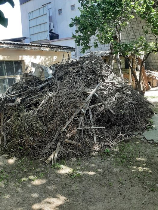 Дрова ветки бесплатно