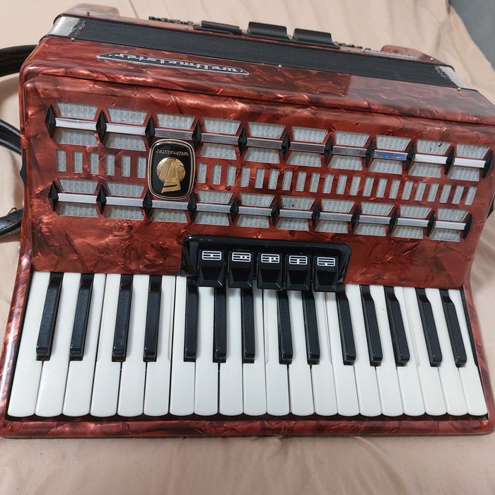 Vind acordeon profesional  wellmayster