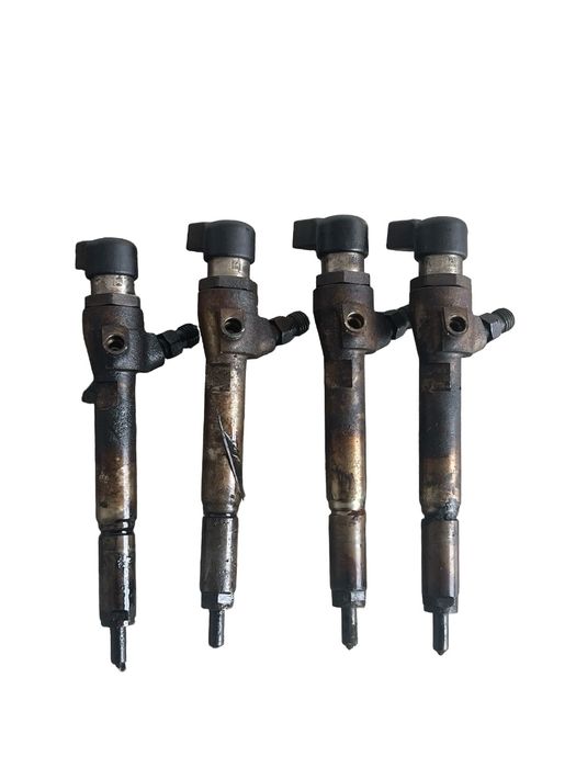 Set Injectoare Combustibil Renault Megane Ii Bm0/1_, Cm0/1_ 2001 - 201