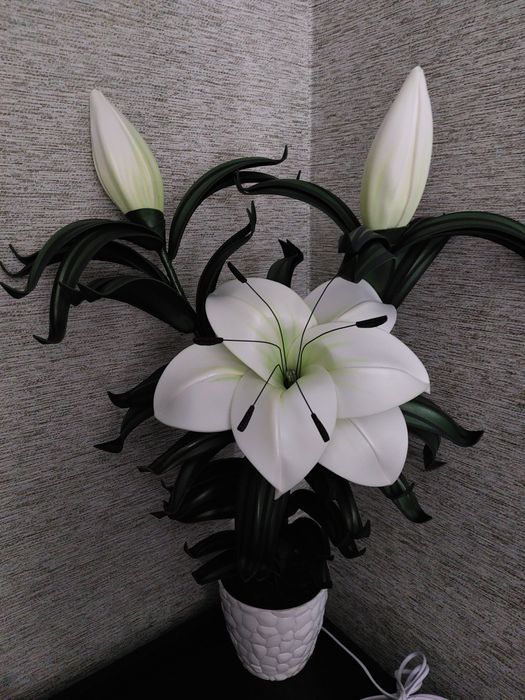 Оригинальный подарок на праздник