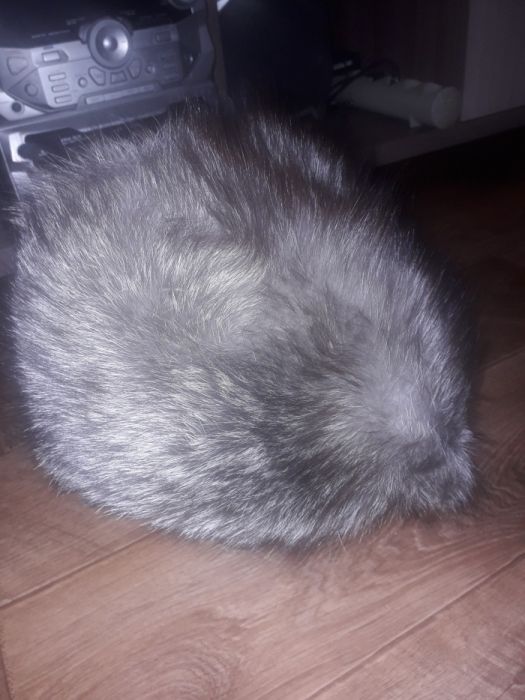 Продаю Чернобкрка шапка 56-57р