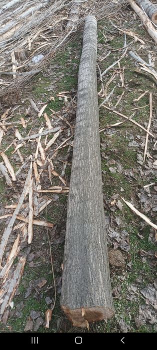 Terak g‘o‘la sotiladi