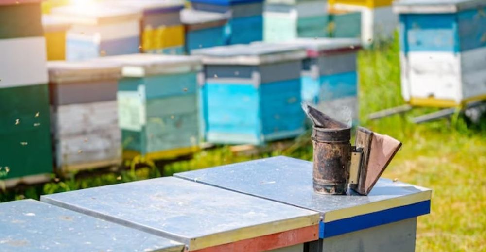 Продаю пчёл, семьями