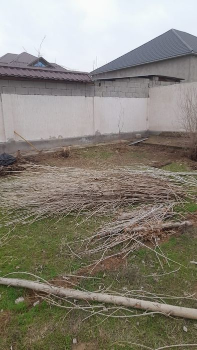 Отын 20000тг дастовкысымкн