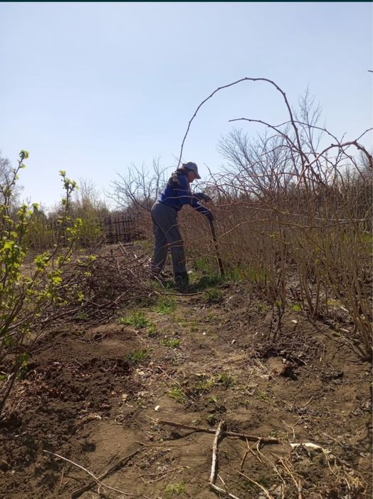 Дача Здоровья с домиком