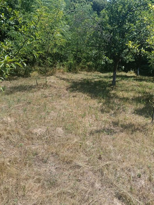 Vind teren extravilan