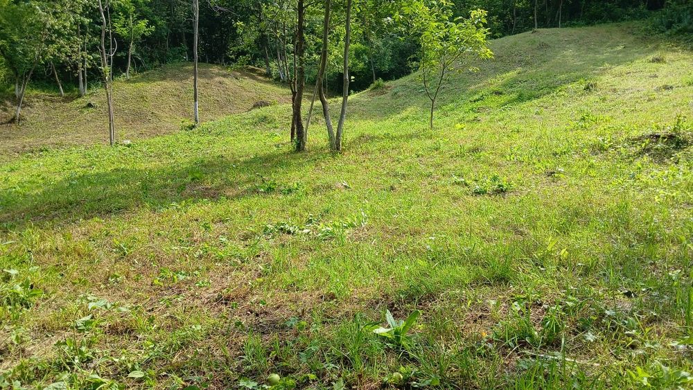 Teren de vânzare în Comuna Șotrile județul Prahova - Vedere 4