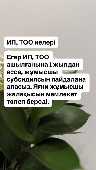 Услуги бухгалтера