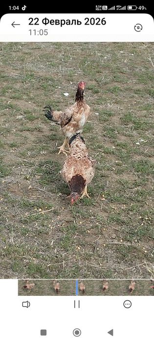 Сатлады сатлады.