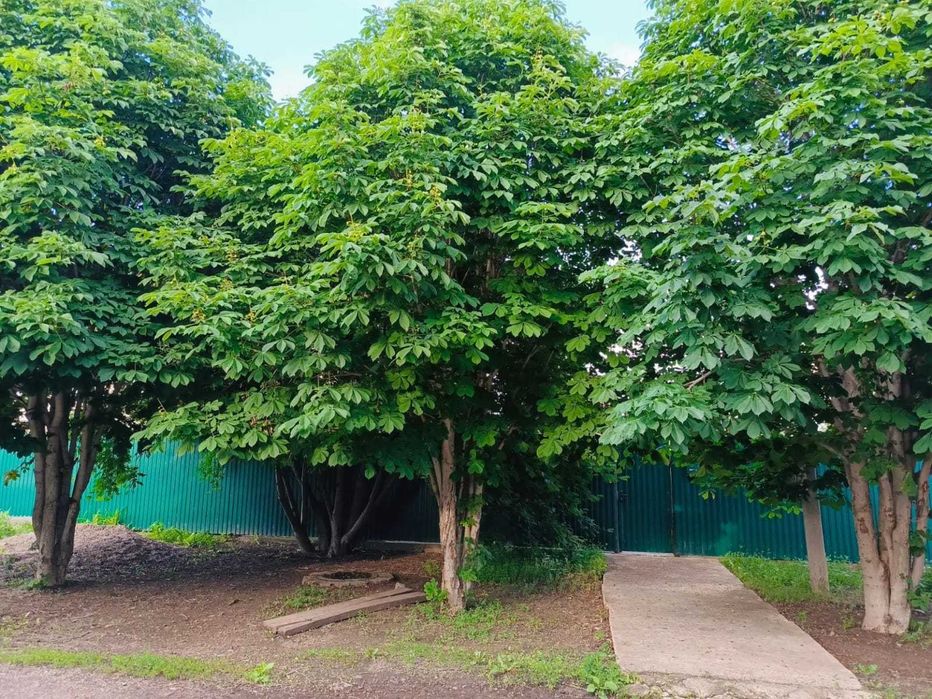 Продам дом в Оренбурге Нежинка 2