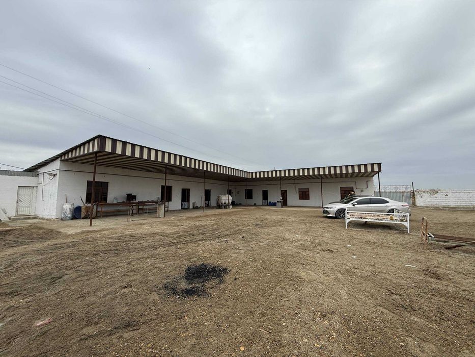 TAYYOR 4 GEKTARLI JOY Sotiladi #a730