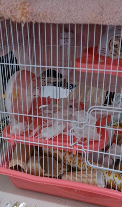 Клетка для хомяка