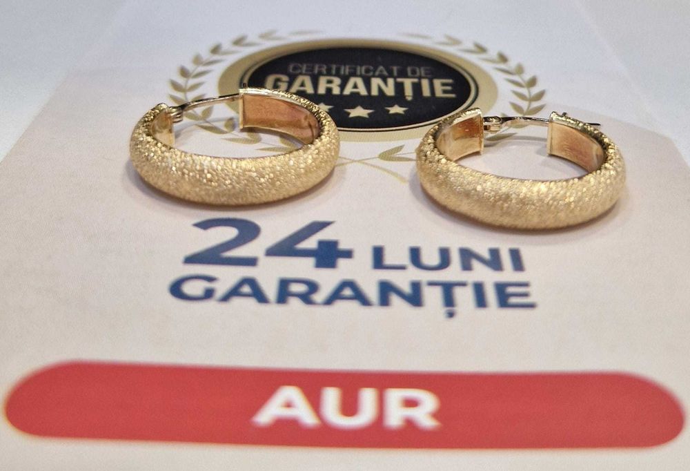Cercei din aur (AG32 B28192.1) 2 ANI GARANTIE!