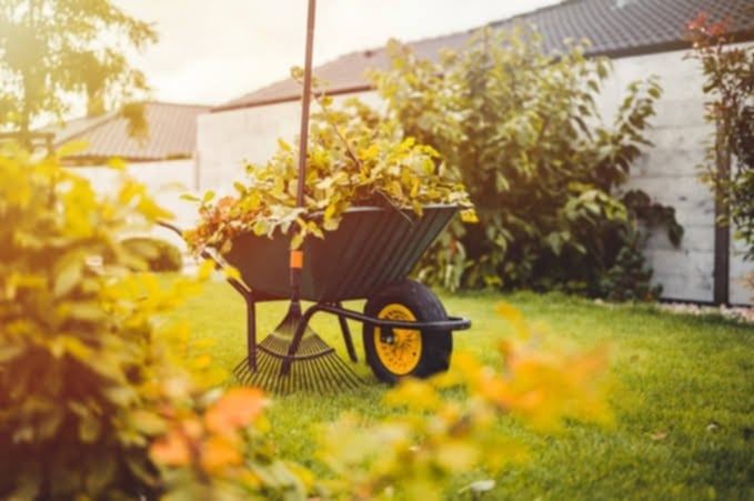 Ofer servicii de grădinărit si tuns gazon si iarba