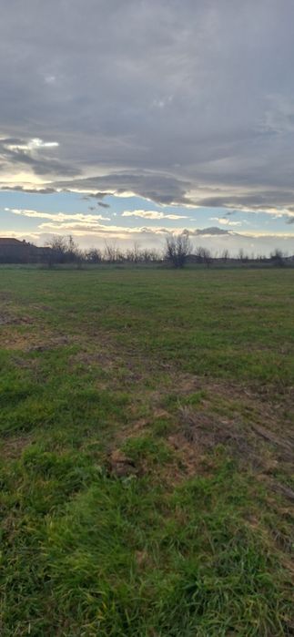 продавам  упи село Найден Герово