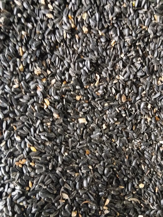 Продам подсолнух, семечки подсолнечник