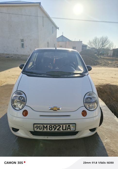 Matiz oq rang kafoli bilan