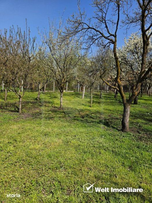Casa de vanzare, teren 1700 mp, Ceanu Mic, judetul Cluj
